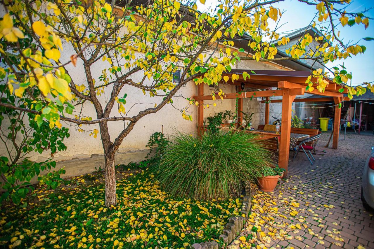 Lizak Berehove (Transcarpathia) Exterior foto