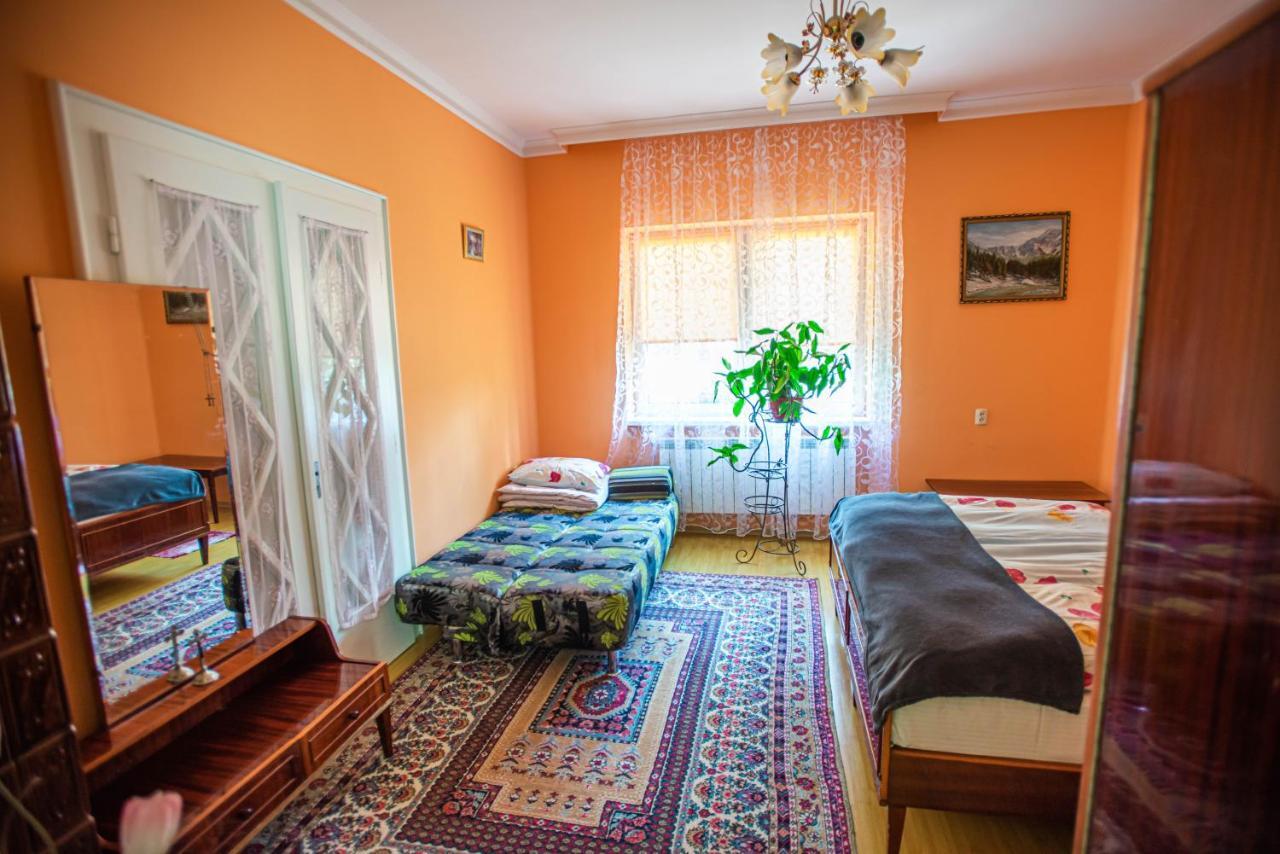 Lizak Berehove (Transcarpathia) Exterior foto