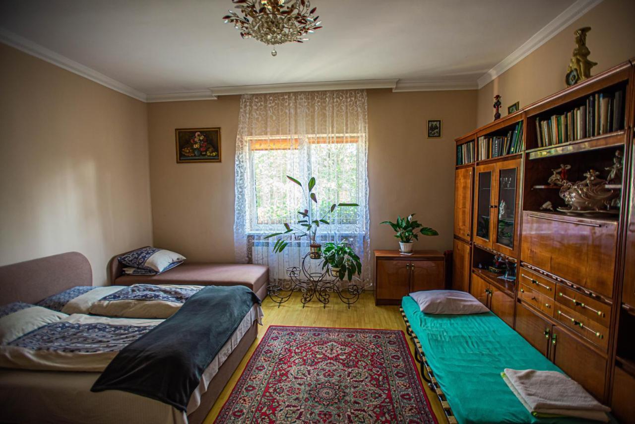 Lizak Berehove (Transcarpathia) Exterior foto